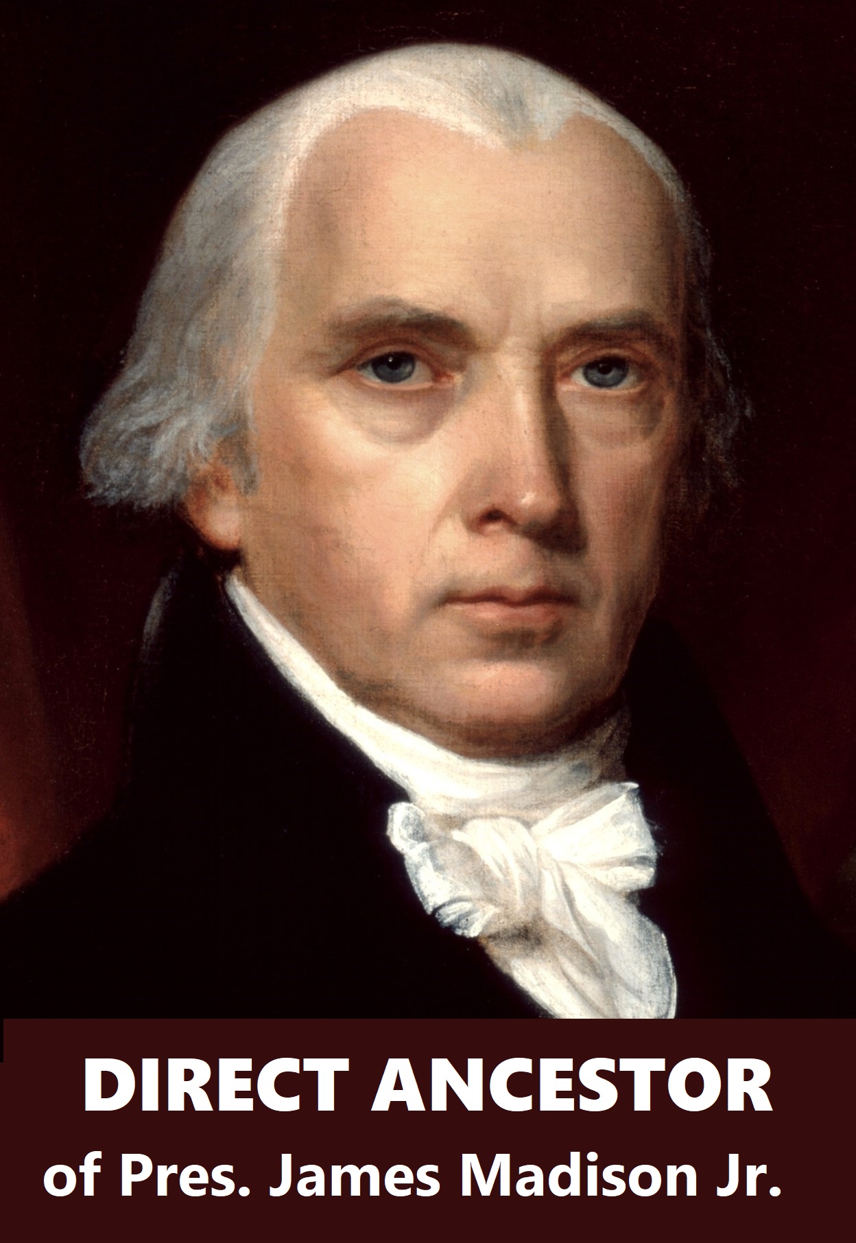 Presidential Ancestor - Madison